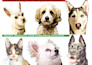 do image masking by the photoshop