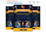 design a perfect professional business flyer, brochure, cataloue
