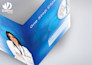 design print ready brochure