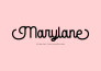 design lettering, calligraphy, typography, signature logo