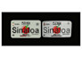 digitize sew out picture into embroidery, dst, pes, design,