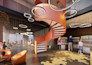 3d render and architecture model