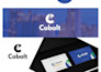 design a professional, authoritative logo that builds trust instantly