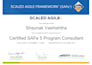 train how to implement agile, scrum in a practical way