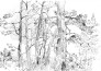 draw the background art in black and white