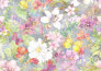 create textile patterns for digital prints and weaving