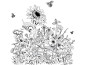 hand drawn botanical flower plants scientific illustration