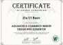 design and develop impressive wordpress website developer
