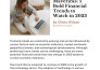 write SEO optimized content for your website