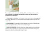 do advance shopify seo and write shopify product descriptions