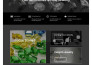 design, redesign or customize your wordpress website