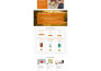 build shopify dropshipping landing page, one product store by gempages, pagefly