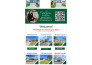 create email newsletter template