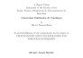 do your matlab projects