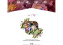create a stunning wedding invitation website with rsvp, music and maps