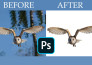 remove the background using photoshop