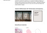 do html, css, php, js professional web development services