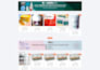 build a professional ecommerce website with wordpress and woocommerce