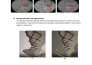 provide image annotation, data annotation and data labeling