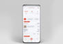 develop mobile apps backend in python django, flask with UI in flutter or react