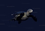 do 3d character for animation and game story