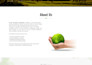create a blog website or business website or blogger website