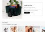 do shopify custom coding or bug fixing and customization