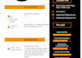hindi voice over expert