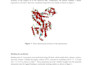 do all bioinformatics projects