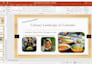 expertly process data in excel, word, design engaging powerpoint presentation