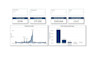 create professional power bi reports, dax, bi dashboards