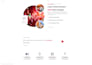 professional frontend development HTML CSS bootstrap and responsive design