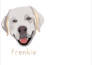 digitize image for embroidery digitizing design files