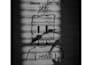 create stunning black and white illustrations for poetry