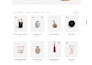 create a professional custom shopping website