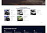 create a professional wordpress website or woocommerce store