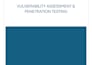 professionally penetration test your web apps