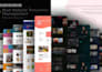 do perfect wordpress website design and any website