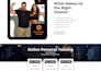 build a stunning responsive front end website