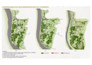 do professional architectural site analysis mapping diagram