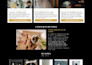 create shopify dropshipping store, shopify store design and redesign