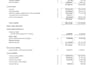 prepare financial statements and balance sheets