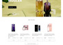 build ecommerce website shopify with expert cro, conversion