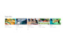 be your youtube channel manager