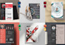 design a professional resume, CV, portfolio, or cover letter