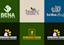 design a professional minimalist business logo