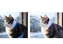 create and enhance ai images