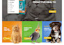 design a professional webshop by woocommerce
