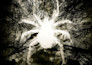 create a movie poster design for your horror film or pitch deck key art