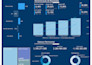develop bi reports with powerbi, looker or tableau